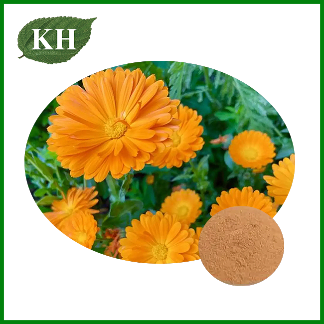 Calendula Extract Powder